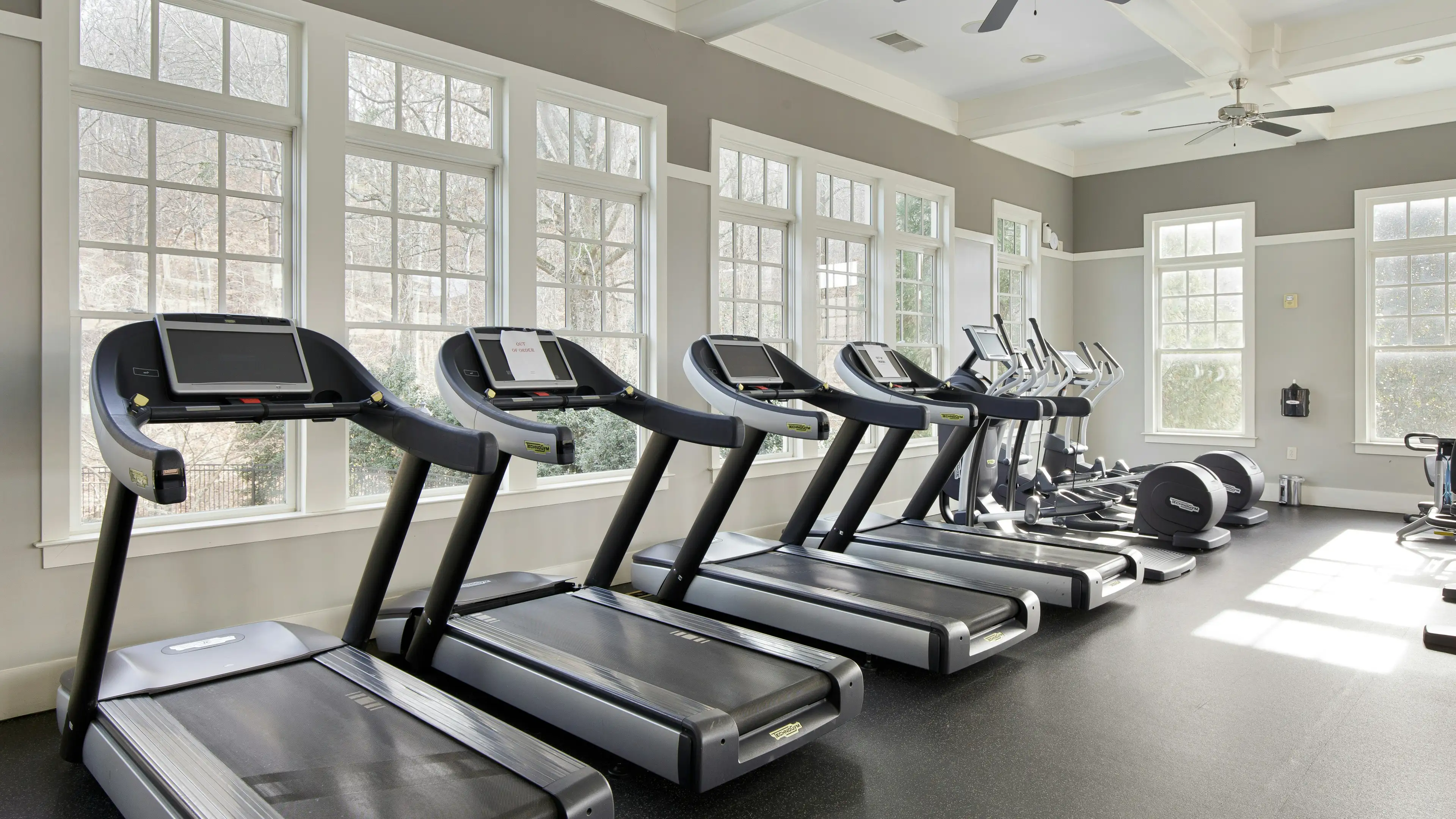 A row of treadmills facing tall bright windows